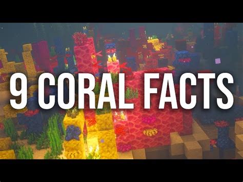 Coral Reef in Minecraft: Everything players need to know