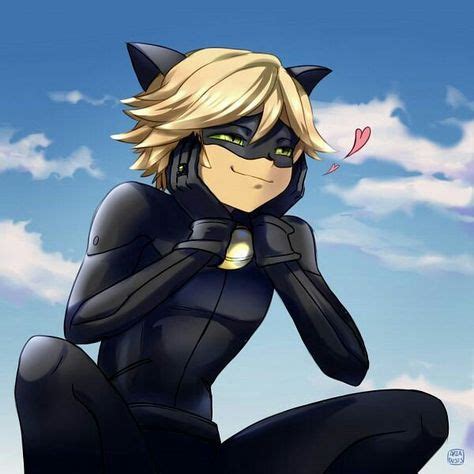 216 Best Hot and Cute pics of Cat noir images in 2020 | Miraculous ...