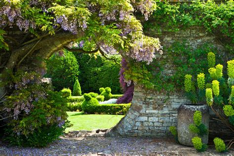 How to create a classic English country cottage garden: What to plant, where to plant it and ...