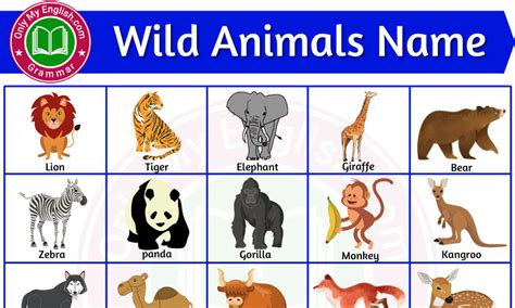 Top 185 + Names of wild animals in india - Lifewithvernonhoward.com