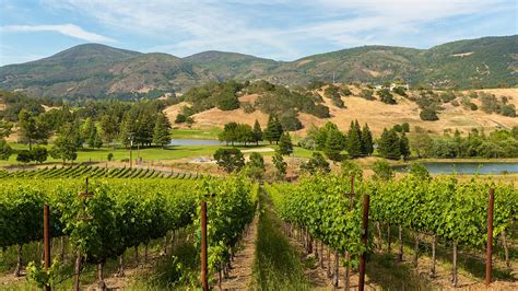 Napa 101: Explore the Valley Floor AVAs