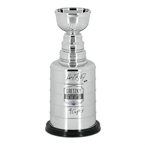 Stanley Cup - The Washington Capitals After Years Of Frustration Win ...