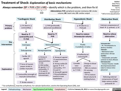 Drugs used to treat shock | Calgary Guide