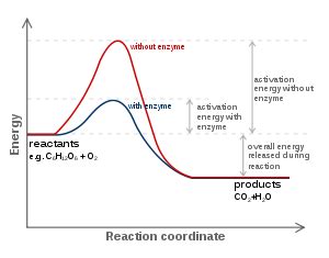 Reaction coordinate - Wikipedia