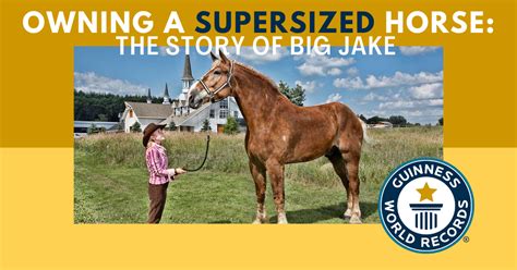 Big Jake Horse