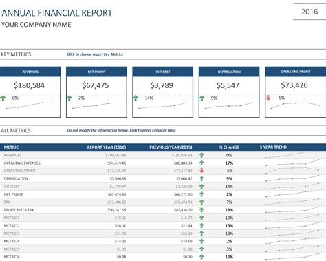 Annual Financial Report Excel - Business Insights Group AG