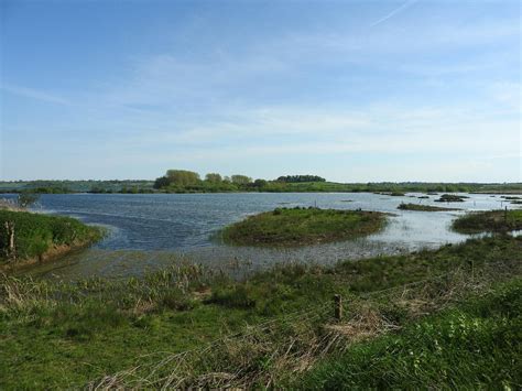 Rutland Water Nature Reserve (Anglian Water Bird Watching Centre ...