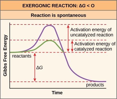 Activation Energy Example Chemistry