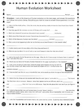 Human Evolution Worksheet by Biology Buff | TPT