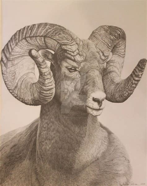 The Ram by apeterson15 on DeviantArt