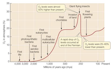 The Great Oxygenation Event The Earths First Mass