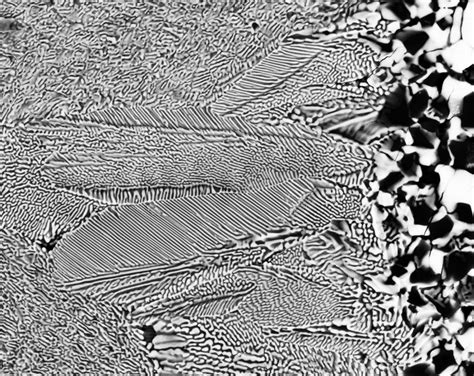 Eutectic microstructure induced by flash sintering – Irvine Materials ...