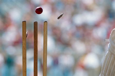 Cricket Wicket – Bing Wallpaper Download