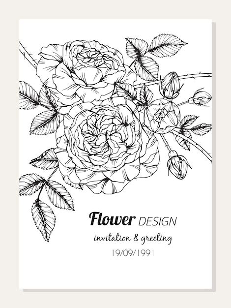 Premium Vector | Rose flower frame drawing illustration for card design