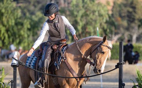 Working Equitation, the Sport I Didn't Know I Needed