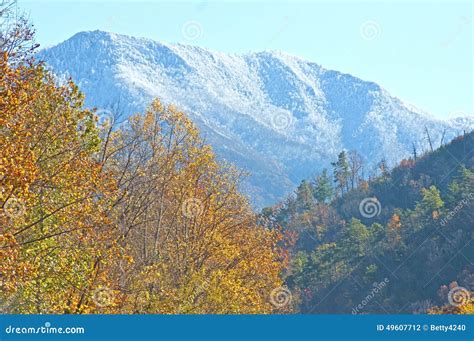 Great Smoky Mountains in Fall Colors. Stock Photo - Image of misty, hiking: 49607712