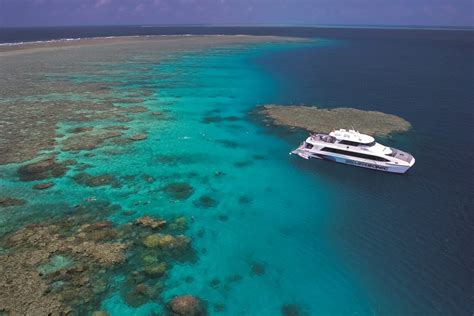 Great Barrier Reef Tour Port Douglas - Discover a whole new world