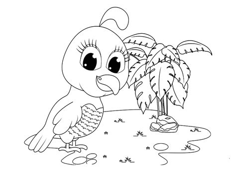 Cute Quail Coloring Sheet - Free Printable Coloring Pages