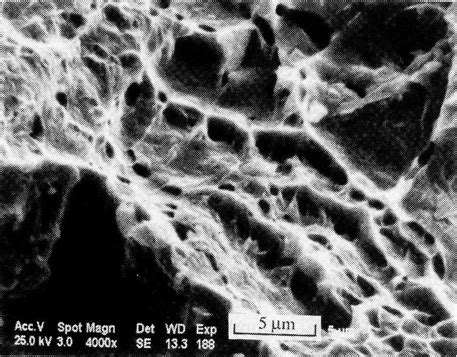 Photo. 3 Micrograph showing the ductile nature fracture surface ...