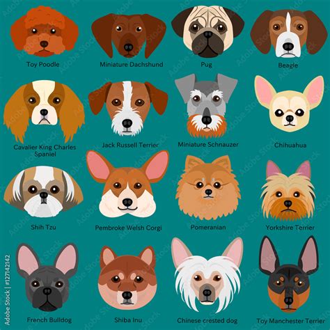 small dog faces set with breeds name Stock ベクター | Adobe Stock