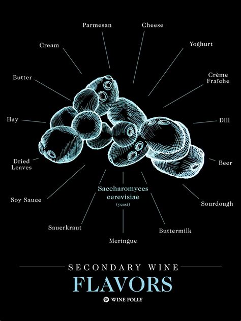 How Yeast Affects The Taste of Wine | Wine Folly