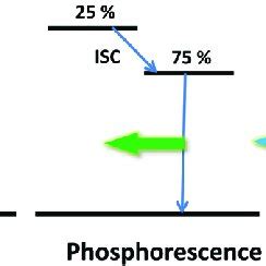 Schematic mechanism of fluorescence, phosphorescence and TADF ...