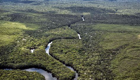 Amazonas en Colombia: Así está el Amazonas de Colombia | Ecología | Caracol Radio