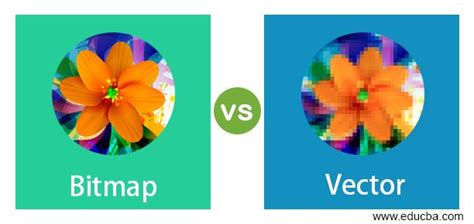 Bitmap vs Vector | 17 Amazing Comparisons of Raster vs Vector | Raster vs vector, Bitmap, Bitmap ...