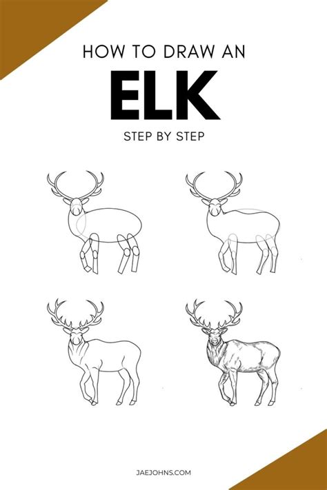 How to Draw an Elk in 5 Easy Steps - Jae Johns