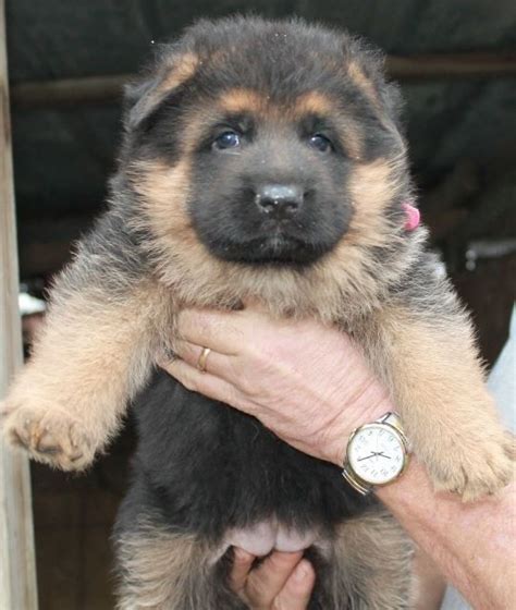 Our Chunk of Love: Baby Arabella at 4 Weeks