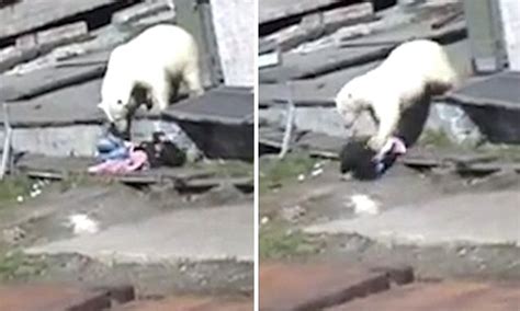 Woman attacked by polar bear as locals try to scare it away in video | Daily Mail Online