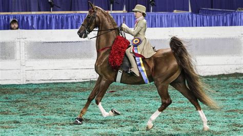 Tickets for World's Championship Horse Show on sale