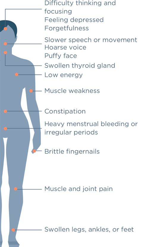 How To Increase Tsh Level - Effortbroad24