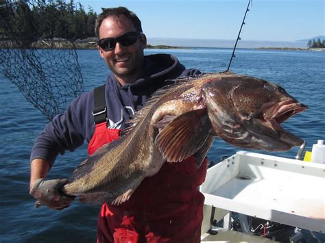 Lingcod Fishing Tips - Learn & Catch More Lingcod!