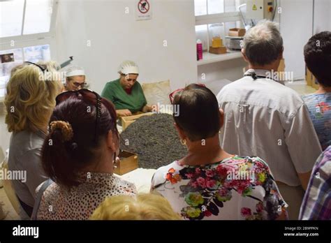 People are selecting dry tea leaves. Tea factory workers Stock Photo ...