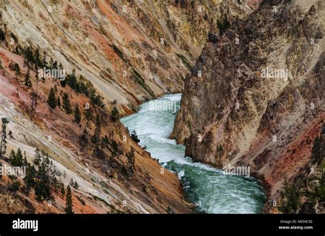 Yellowstone River flowing through the canyon, Yellowstone National Park; Wyoming, United States ...