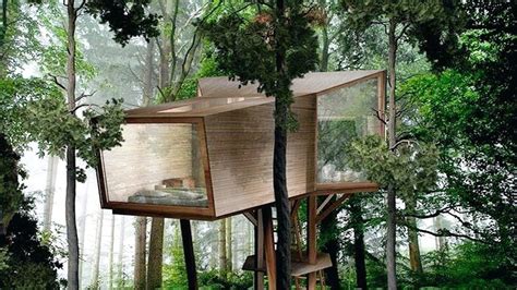 Cool & Modern Tree House Design and Ideas - Best TreeHouse - YouTube