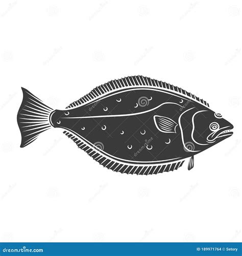 Halibut Fish Vector Illustration Transparent Background Royalty-Free ...