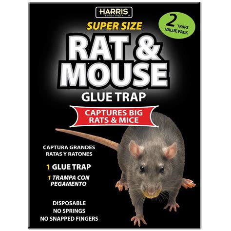 HARRIS Toughest Rat Glue Trap (2/Pack) - Walmart.com - Walmart.com