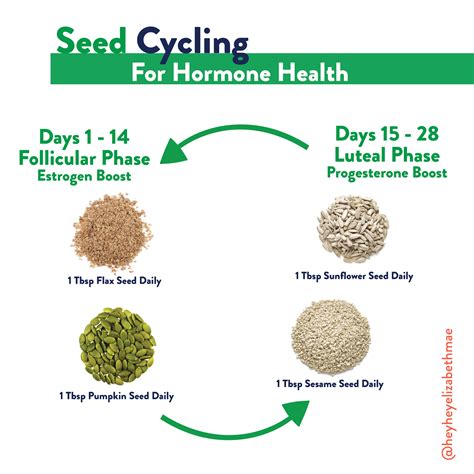 Seed Cycling For Hormone Balance What Is It And How Does It Work ...