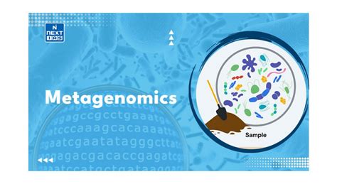 Metagenomics: Differences, Aerial Metagenomics, Microbial Significance ...