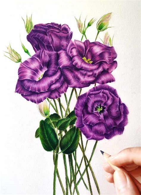 View 18 Flower Drawing Colored Pencil - trendqcope
