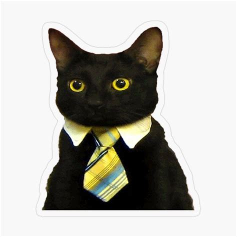 "Business Cat Meme Blank " Sticker for Sale by Mr-LeBlanc80 | Business cat, Cat memes, Dog memes