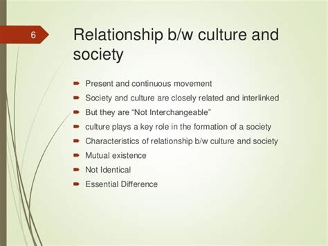 Relationship between culture and society