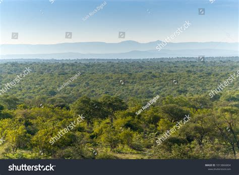 Kruger National Park Mpumalanga South Africa Stock Photo 1013866804 ...