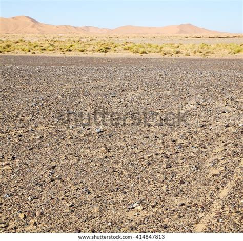 Old Fossil Desert Morocco Sahara Rock Stock Photo 414847813 | Shutterstock