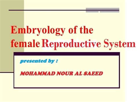 Embryology of the female reproductive system