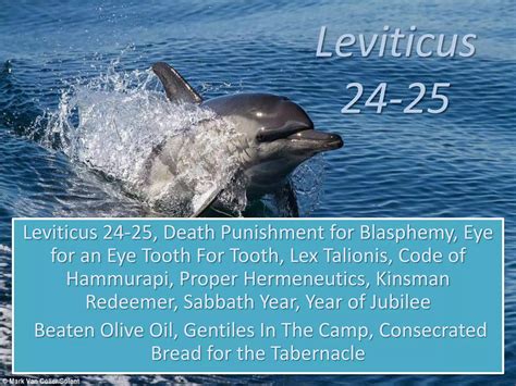 Leviticus 24-25, Death Punishment for Blasphemy, Eye for an Eye Tooth For Tooth, Lex Talionis ...