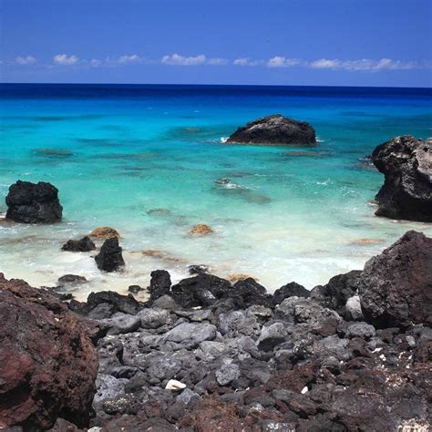 White Sand Beach (Kailua-Kona): Ce qu'il faut savoir pour votre visite