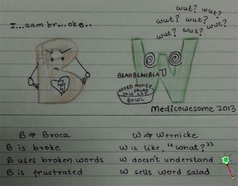 Medicowesome: How to remember the difference between Wernicke's area ...